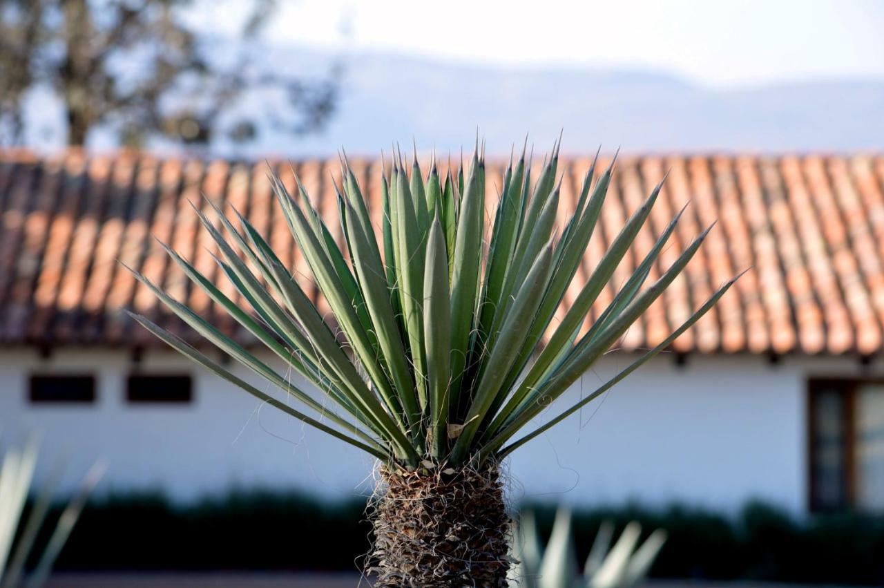 Hacienda Los Picachos Alcocer Exterior foto